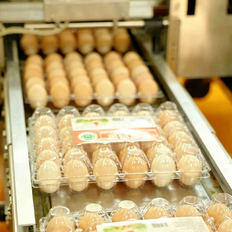 蛋品自动包装线